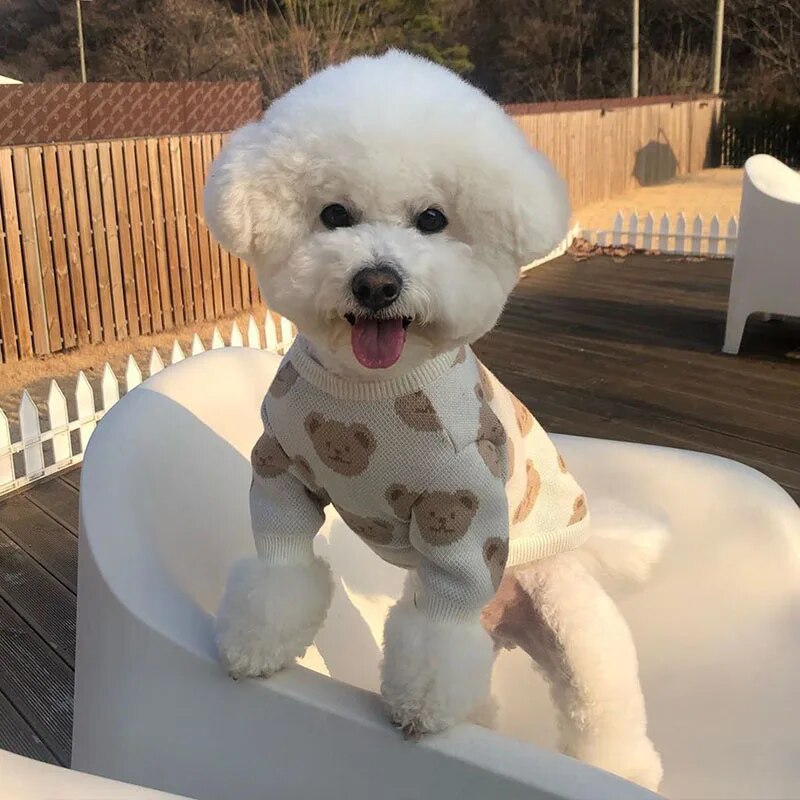 Fashion Dog Clothes Bear Print Dog Sweater Puppy Pet Clothing For Small Medium Dogs Costume Chihuahua Pet Clothes Ropa Perro Pug