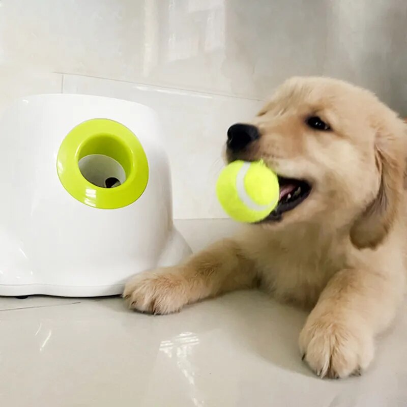 Dog Pet Toys Tennis Launcher Automatic Throwing Machine Pet Ball Throw Device 3/6/9m Section Emission with 3 Balls Dog Training