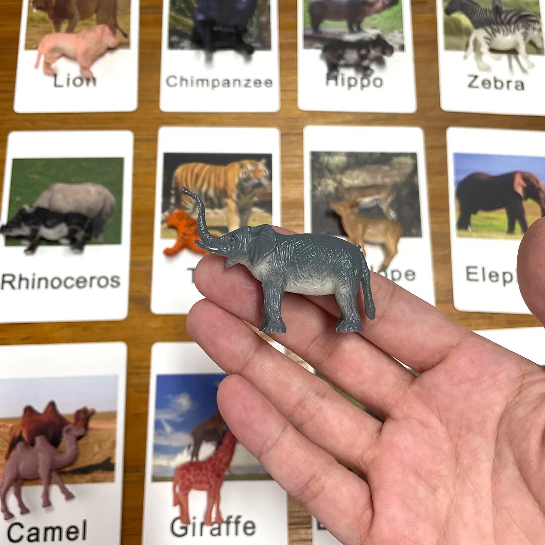 24Pcs/Set Montessori Toys for 3 Year Flash Cards Animals Matching Learning English Kids Early Educational Practical Life