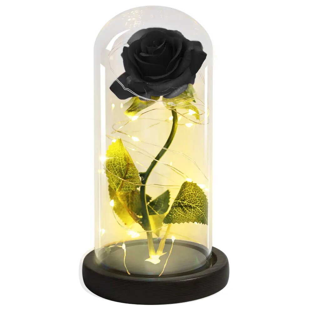 47006277828903